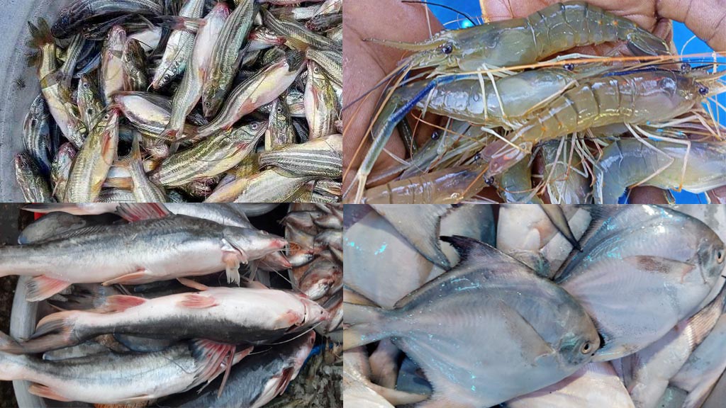 Fish Market in Kolkata